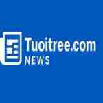 tuoitree com