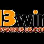 13Winus us com
