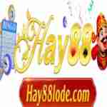 Hay88lode com