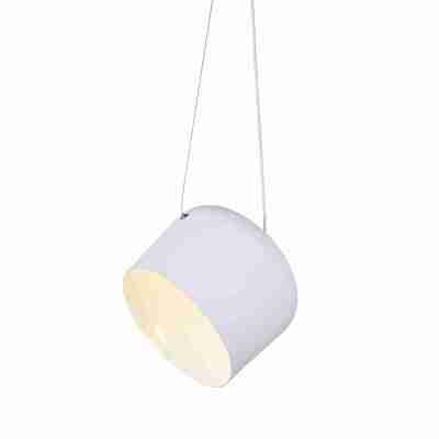 NOVA OD8002WH Pendant Ceiling Light Profile Picture