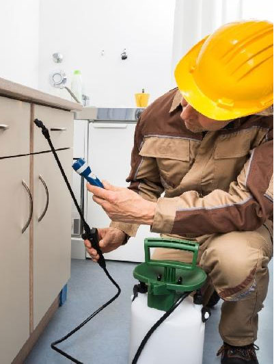 Residential Pest Control in Melbourne - Enviro Safe Pest Control