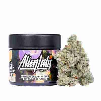 Weed Web NYC Profile Picture