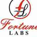 Fortune Labs