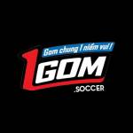 1Gom soccer
