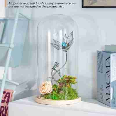 Aurora Profile Picture