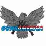 gunsamerica