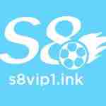 S8 vip1ink
