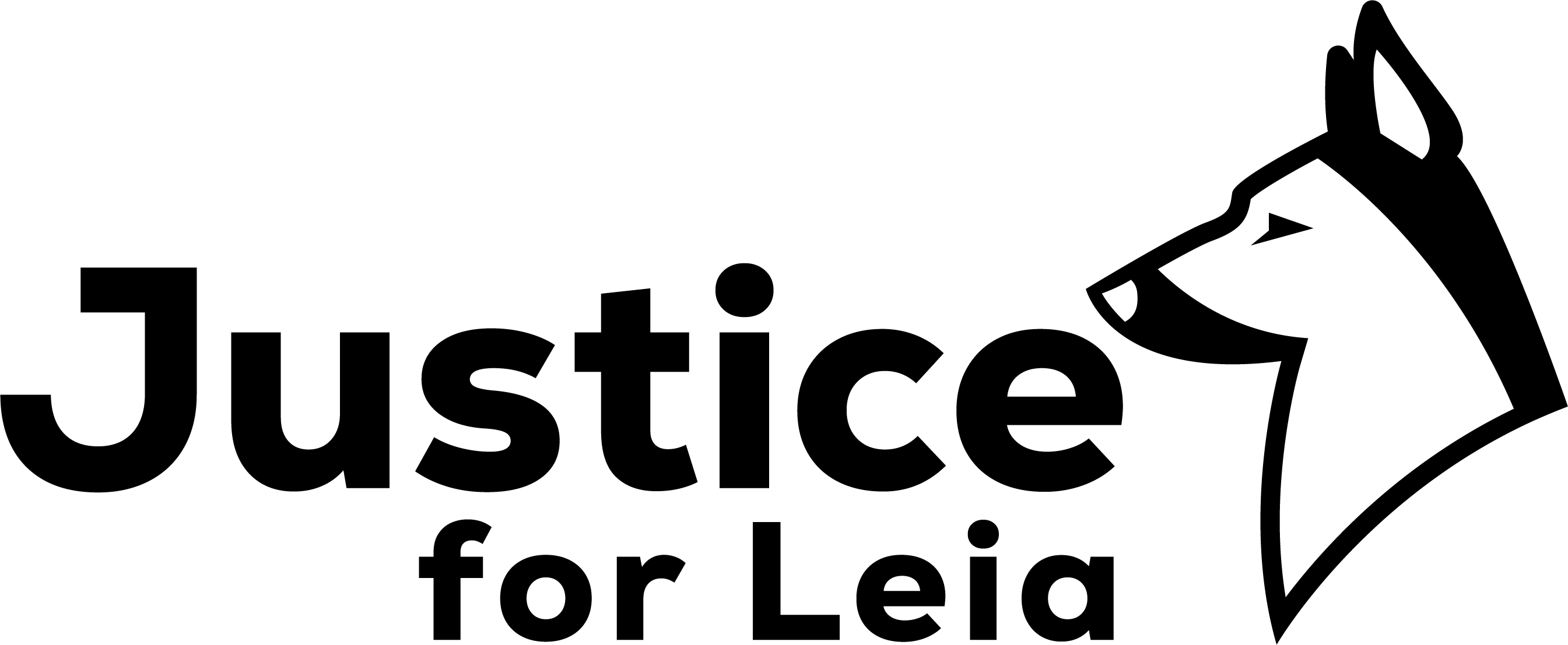 Bright Eyes: What Clear Eyes Reveal About Dog Health