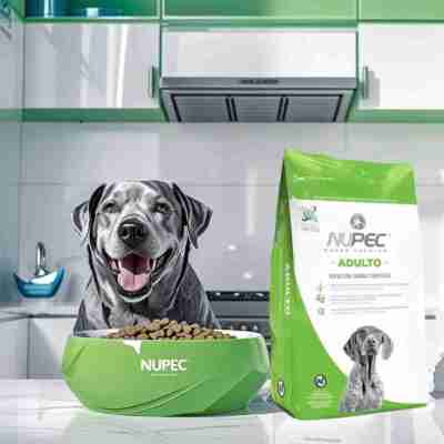 Alimento Nupec Adulto para Perros | Nutrición Premium para una Vida Saludable Profile Picture