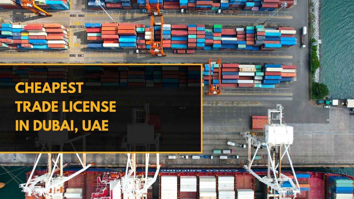 Cheapest Trade License in UAE - AE Setup