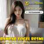 totoagung login