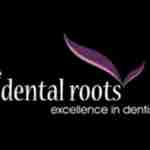 The Dental Roots