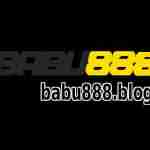 babu888
