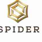 Spider Business center