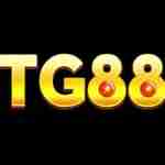 tg88dcom