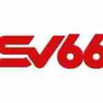 SV66 Link Vào Trực Tiếp SV66