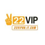 22VIP it com