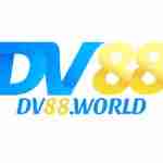 DV 88