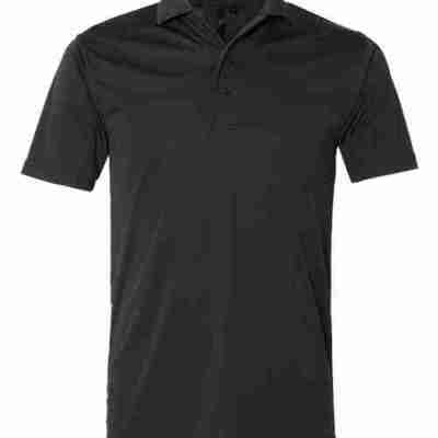 "Men's Value Polyester Polo – 4341 " Profile Picture