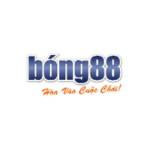 Bong88 lipaugmentation