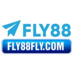 Fly88fly com