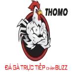 Đá gà trực tiếp