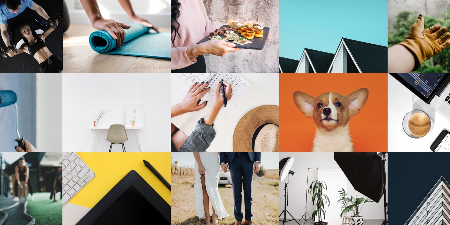 DreamPack | Bark Profile