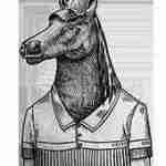 The Knight of Notting Hill