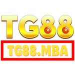 TG88 mba
