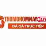 thomohomnaylive