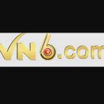 VN 6