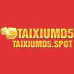 Taixiumd5 Spot