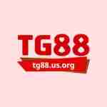 TG88 US ORG