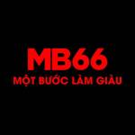 MB66 Black