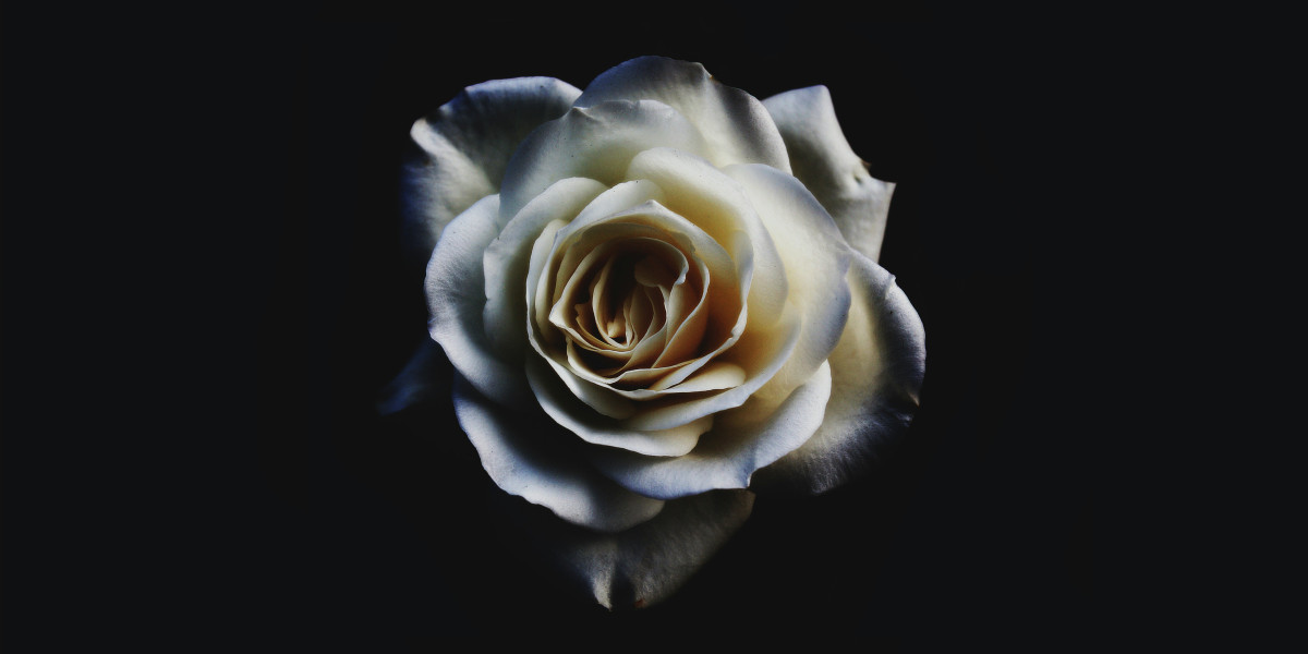 Free Delivery and After-Sales Support: The CustomRigs UAE Advantage