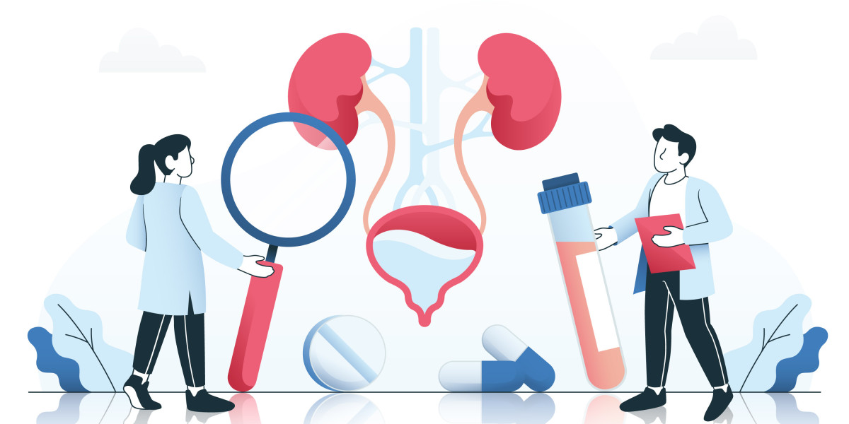 Urinary Retention Market Evolution: Growth Patterns, Treatment Advances, and Future Insights