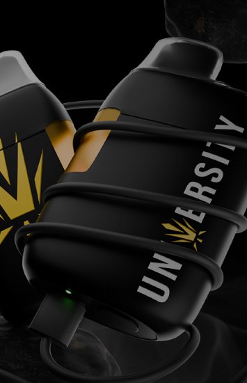 Buy Live Resin Diamonds Concentrates – Potent & Flavorful