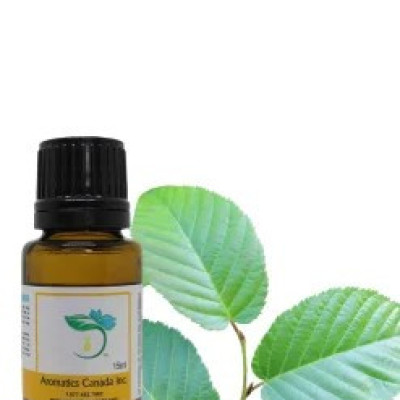 Birch Sweet Essential Oil Profile Picture