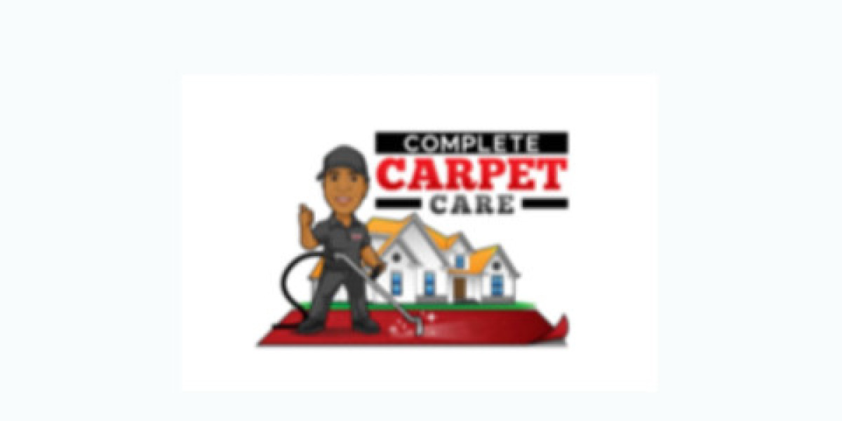 Carpet Cleaning in Plant City and Riverview Helps Remove More Than Surface Dirt