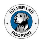 Silver Lab Roofing