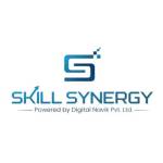 Skill Synergy