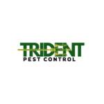 tridentpestcontrol