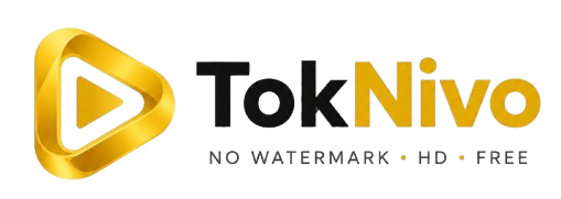 TikTok Video Downloader HD – Download Without Watermark | TokNivo
