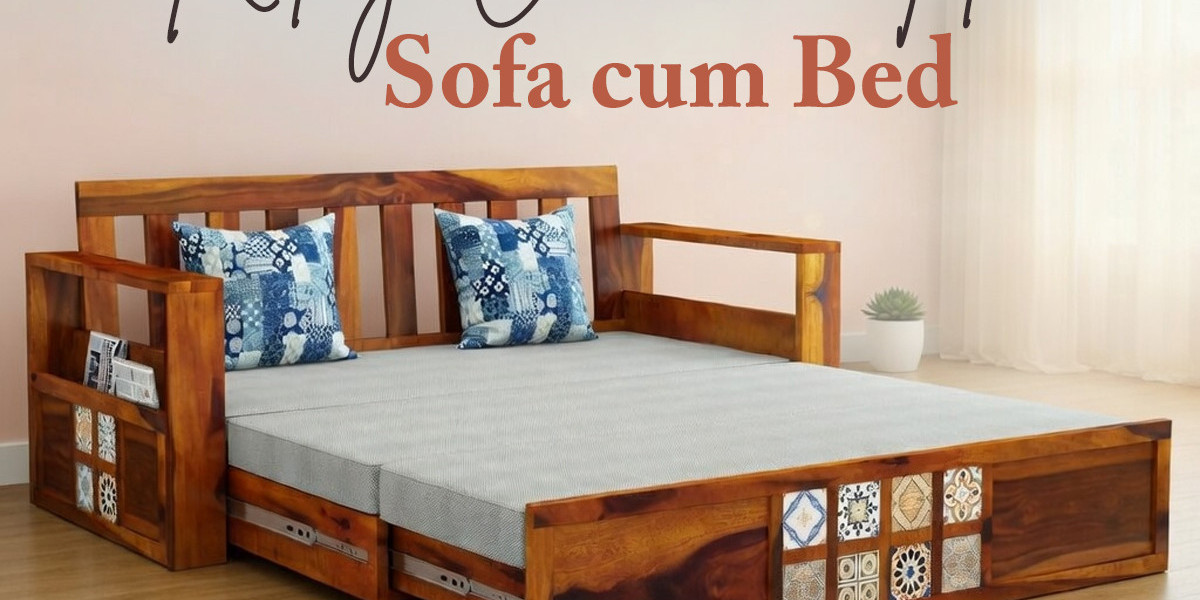 Stylish Sofa Cum Bed with Storage for Smart Home Furniture