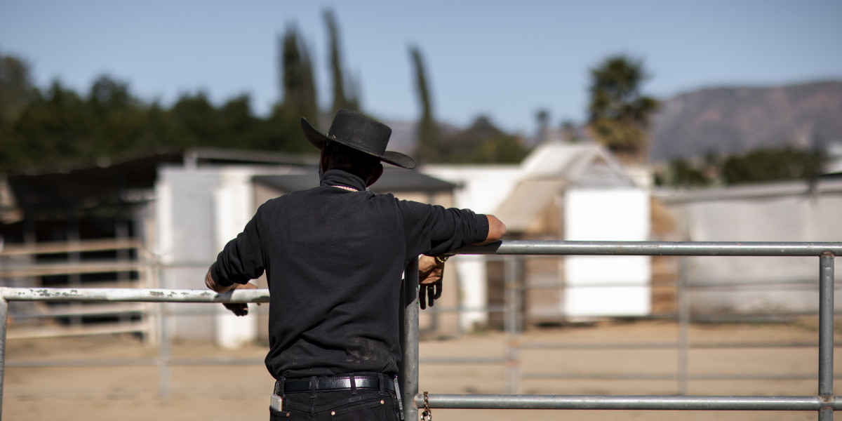 How a Private Investigator in Sydney Australia Supports Court-Ready Evidence
