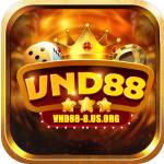 vnd888 usorg