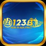 123b busorg