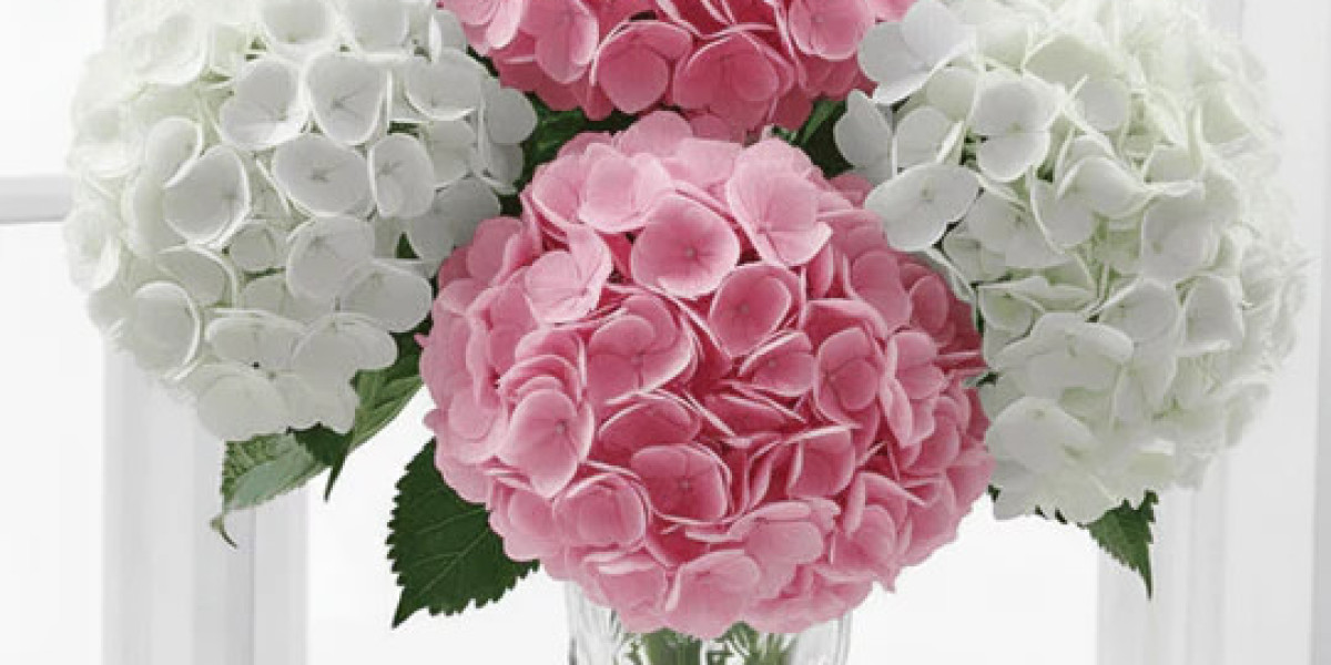 Toronto Flower Delivery Company: Reliability for Every Occasion