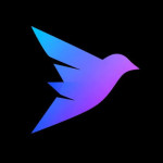 Xholic AI