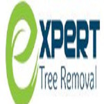 Expert Tree Removal